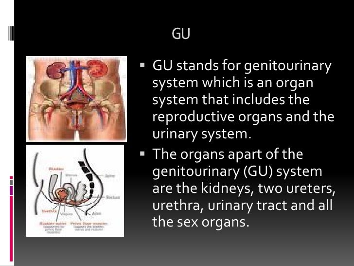 Chapter 9 The Urinary System
