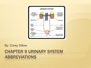 CHAPTER 9 URINARY SYSTEM
ABBREVIATIONS
By: Corey Dillow
 