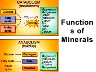Function
  s of
Minerals
 