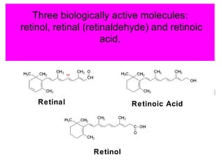 Three biologically active molecules:
retinol, retinal (retinaldehyde) and retinoic
                      acid.




                                                R
    Retinal                 Retinoic Acid




                  Retinol
 