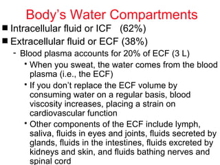 Body’s Water Compartments
s Intracellular fluid or ICF (62%)
s Extracellular fluid or ECF (38%)
    - Blood plasma accounts for 20% of ECF (3 L)
       • When you sweat, the water comes from the blood
         plasma (i.e., the ECF)
       • If you don’t replace the ECF volume by
         consuming water on a regular basis, blood
         viscosity increases, placing a strain on
         cardiovascular function
       • Other components of the ECF include lymph,
         saliva, fluids in eyes and joints, fluids secreted by
         glands, fluids in the intestines, fluids excreted by
         kidneys and skin, and fluids bathing nerves and
         spinal cord
 
