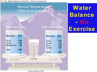 Water
Balance
  - No
Exercise
 