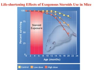 Life-shortening Effects of Exogenous Steroids Use in Mice
 