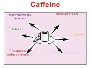 Caffeine
 Improved exercise            Stimulant to CNS
    endurance


 ↑ Diuresis
                                        ↑ Lipolysis




  ↑ Incidence of          ↓ Muscle glycogenolysis
cardiac arrythmias
 