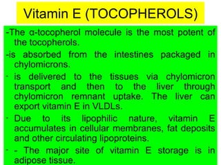 Vitamin E (TOCOPHEROLS)
-The α-tocopherol molecule is the most potent of
   the tocopherols.
-is absorbed from the intestines packaged in
   chylomicrons.
- is delivered to the tissues via chylomicron
   transport and then to the liver through
   chylomicron remnant uptake. The liver can
   export vitamin E in VLDLs.
- Due     to its lipophilic nature, vitamin E
   accumulates in cellular membranes, fat deposits
   and other circulating lipoproteins.
- - The major site of vitamin E storage is in
   adipose tissue.
 