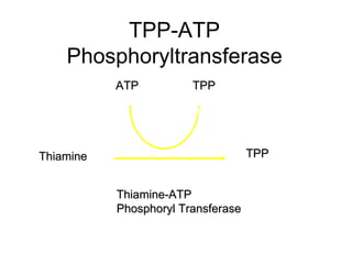 TPP-ATP
    Phosphoryltransferase
           ATP          TPP




Thiamine                            TPP


           Thiamine-ATP
           Phosphoryl Transferase
 