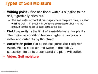 Chapter 9 Water Resources.pdf