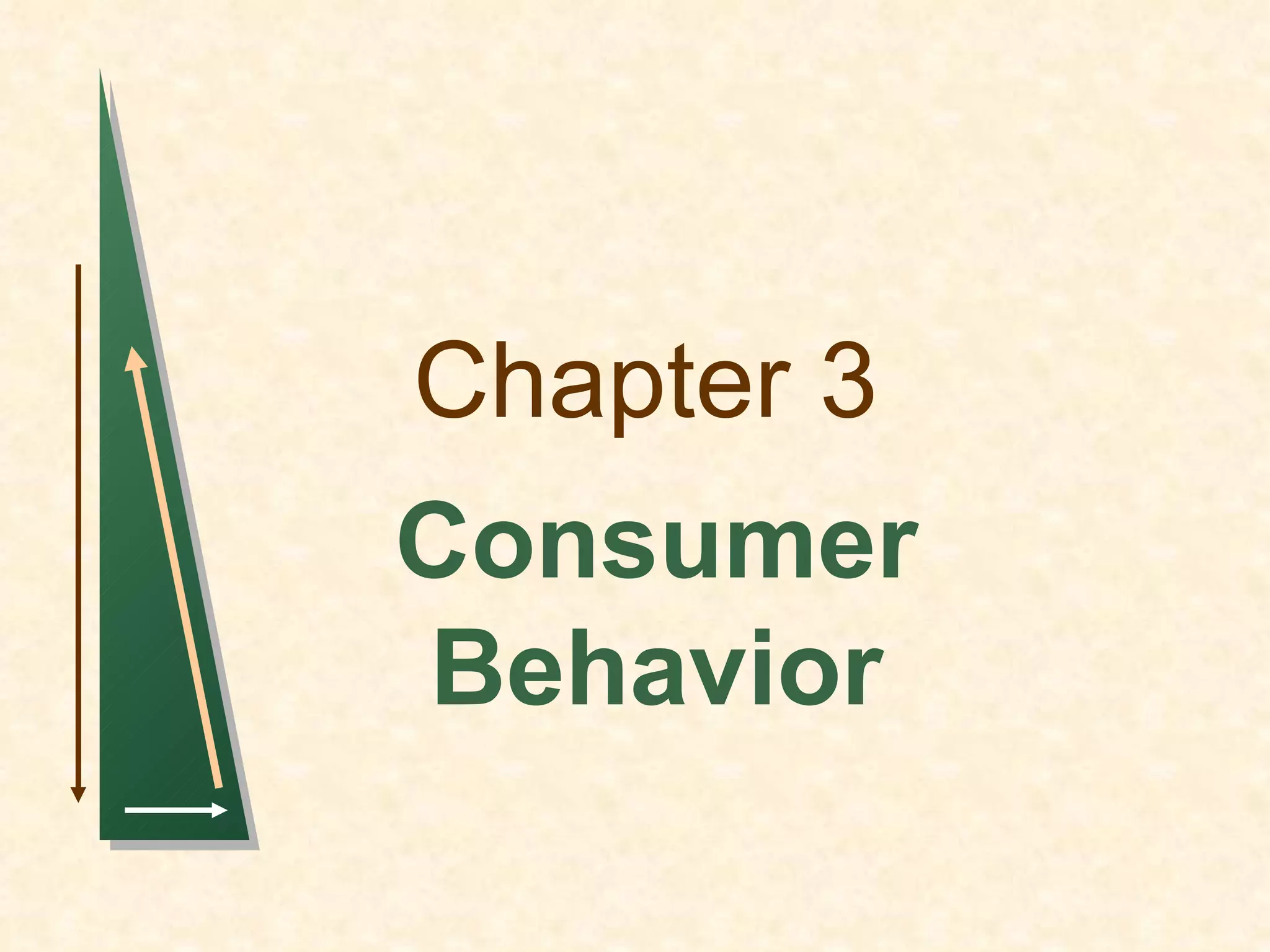 Chapter 3 Consumer Behavior