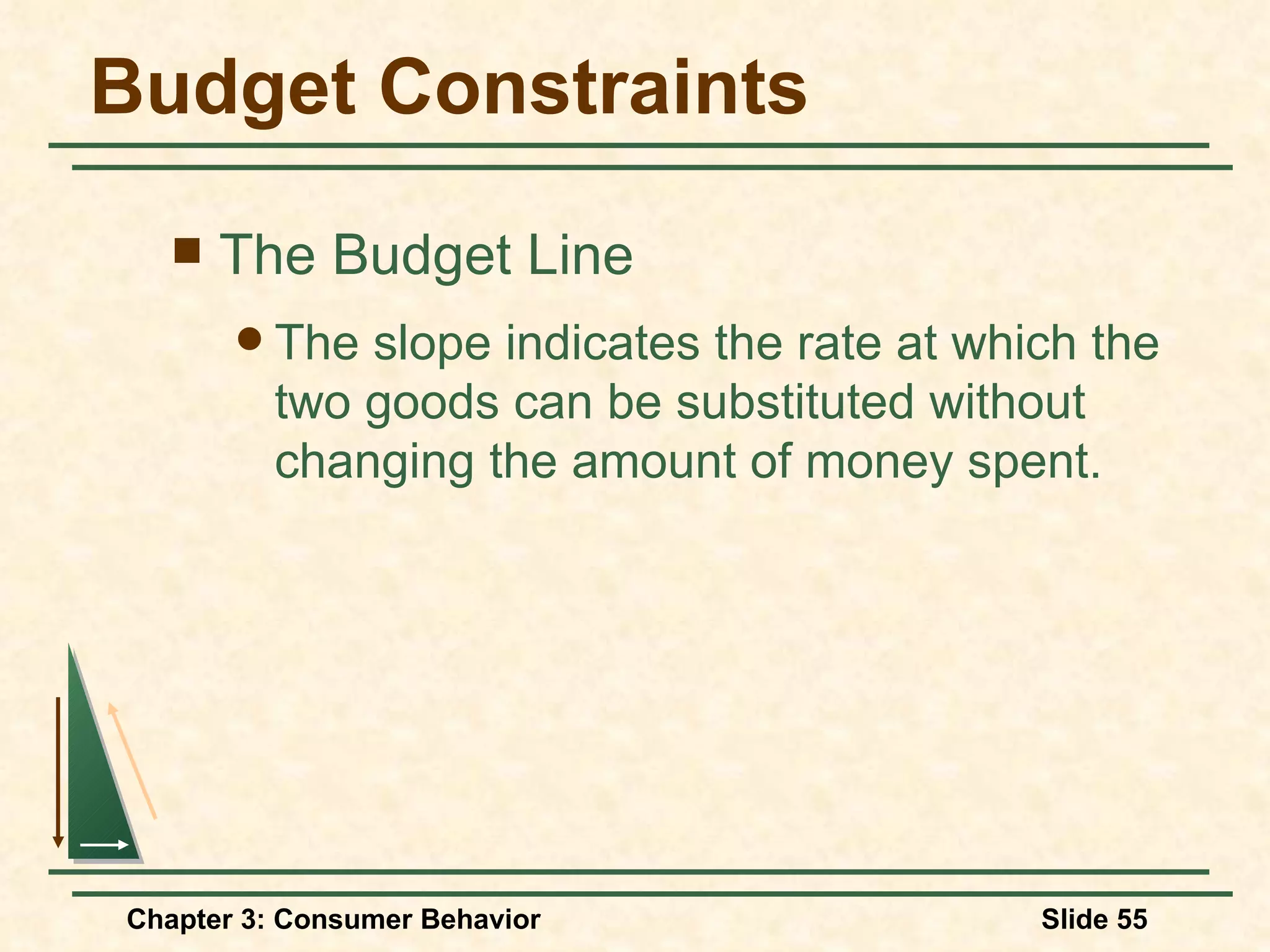 Budget Constraints The Budget Line The slope indicates the rate at which the two goods can be substituted without changing the amount of money spent.