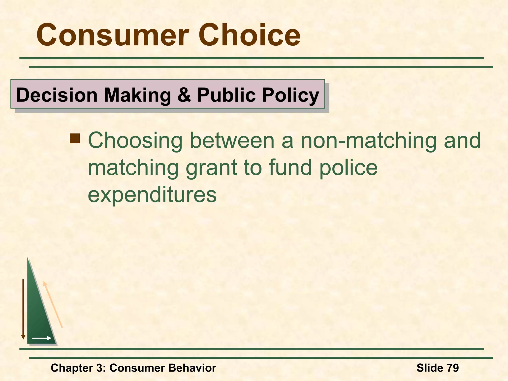 Consumer Choice Choosing between a non-matching and matching grant to fund police expenditures Decision Making & Public Policy
