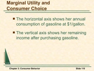 The horizontal axis shows her annual consumption of gasoline at $1/gallon. The vertical axis shows her remaining income after purchasing gasoline. Marginal Utility and Consumer Choice 