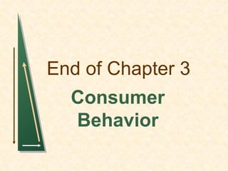 End of Chapter 3 Consumer Behavior 