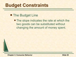 Budget Constraints The Budget Line The slope indicates the rate at which the two goods can be substituted without changing the amount of money spent. 