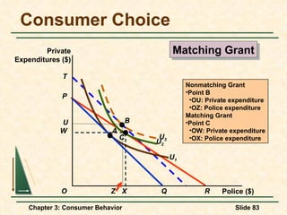 Consumer Choice T Nonmatching Grant Point B OU: Private expenditure OZ: Police expenditure Matching Grant Point C OW: Private expenditure OX: Police expenditure W X Matching Grant P Police ($) Private Expenditures ($) O Q A U 2 C R U 3 U 1 B U Z 
