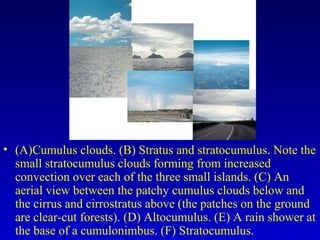 • (A)Cumulus clouds. (B) Stratus and stratocumulus. Note the
small stratocumulus clouds forming from increased
convection over each of the three small islands. (C) An
aerial view between the patchy cumulus clouds below and
the cirrus and cirrostratus above (the patches on the ground
are clear-cut forests). (D) Altocumulus. (E) A rain shower at
the base of a cumulonimbus. (F) Stratocumulus.
 