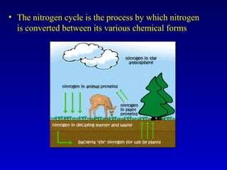 • The nitrogen cycle is the process by which nitrogen
is converted between its various chemical forms
 