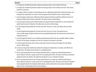 Chapter audit report