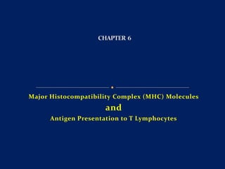 Major Histocompatibility Complex (MHC) Molecules
and
Antigen Presentation to T Lymphocytes
 