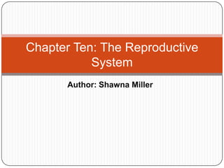 Author: Shawna Miller Chapter Ten: The Reproductive System 