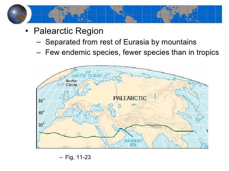 Palearctic realm - Alchetron, The Free Social Encyclopedia