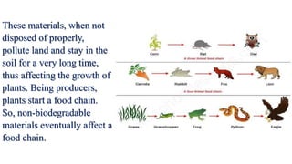 These materials, when not
disposed of properly,
pollute land and stay in the
soil for a very long time,
thus affecting the growth of
plants. Being producers,
plants start a food chain.
So, non-biodegradable
materials eventually affect a
food chain.
 