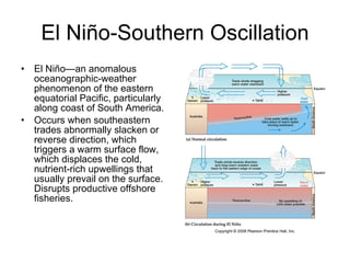 El Niño-Southern Oscillation El Niño—an anomalous oceanographic-weather phenomenon of the eastern equatorial Pacific, particularly along coast of South America. Occurs when southeastern trades abnormally slacken or reverse direction, which triggers a warm surface flow, which displaces the cold, nutrient-rich upwellings that usually prevail on the surface. Disrupts productive offshore fisheries. 