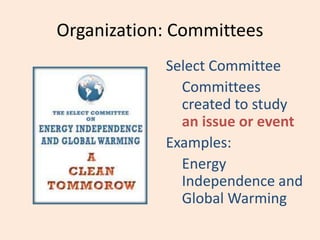 Organization: Committees
Select Committee
Committees
created to study
an issue or event
Examples:
Energy
Independence and
Global Warming
 