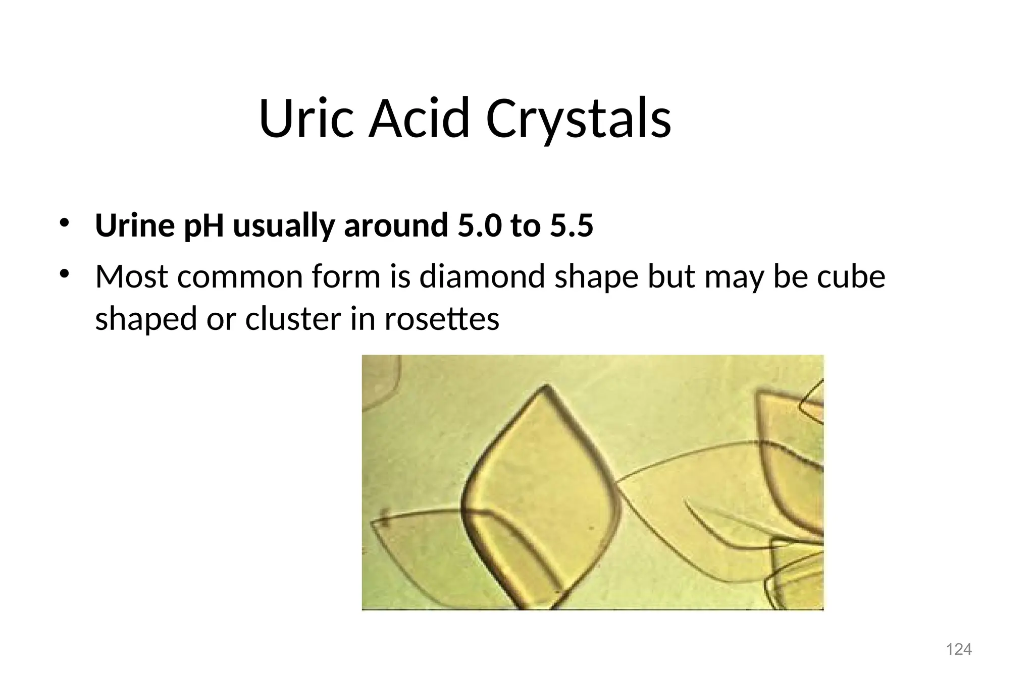 124
Uric Acid Crystals
• Urine pH usually around 5.0 to 5.5
• Most common form is diamond shape but may be cube
shaped or cluster in rosettes
 