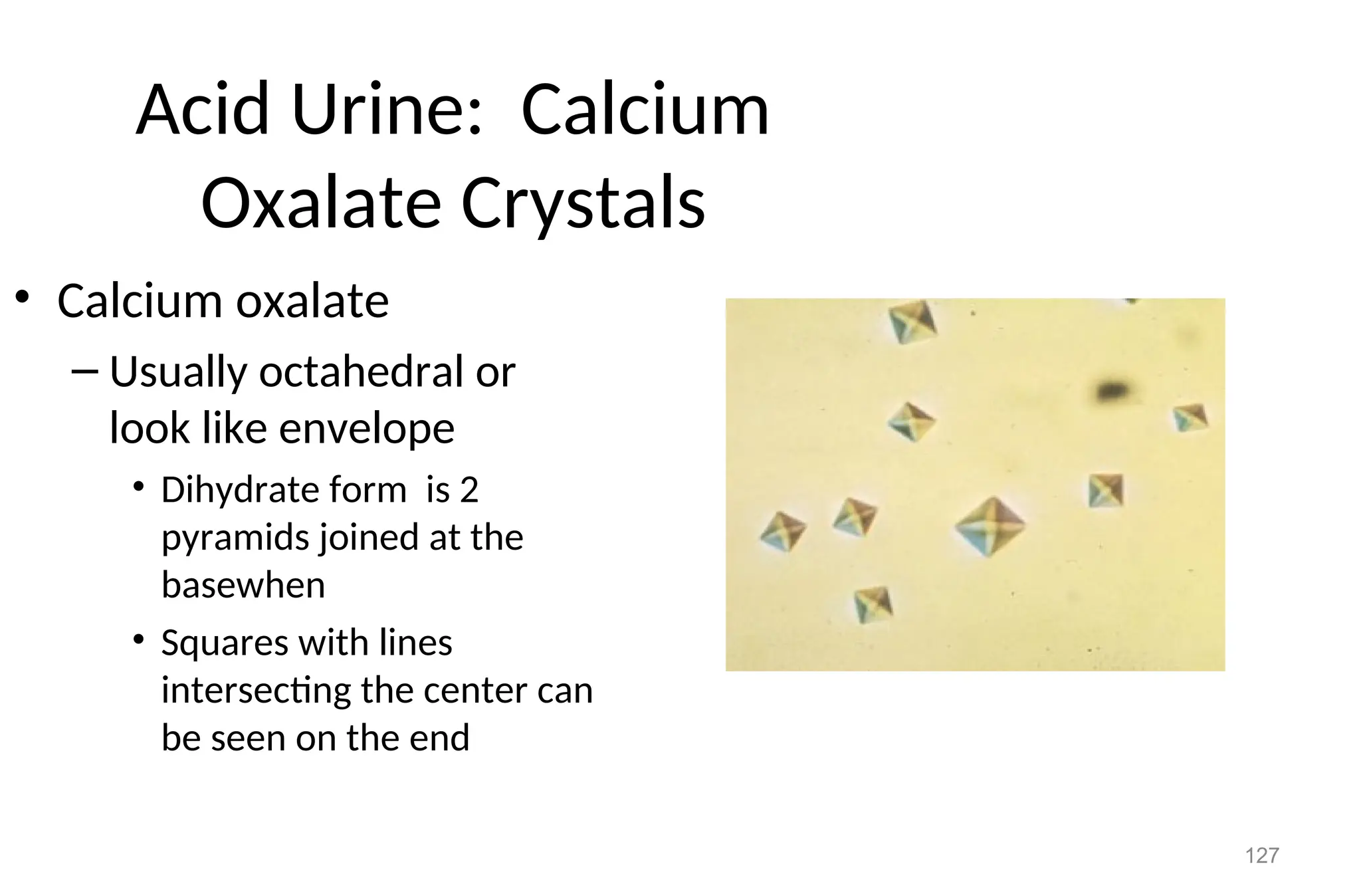 127
Acid Urine: Calcium
Oxalate Crystals
• Calcium oxalate
– Usually octahedral or
look like envelope
• Dihydrate form is 2
pyramids joined at the
basewhen
• Squares with lines
intersecting the center can
be seen on the end
 