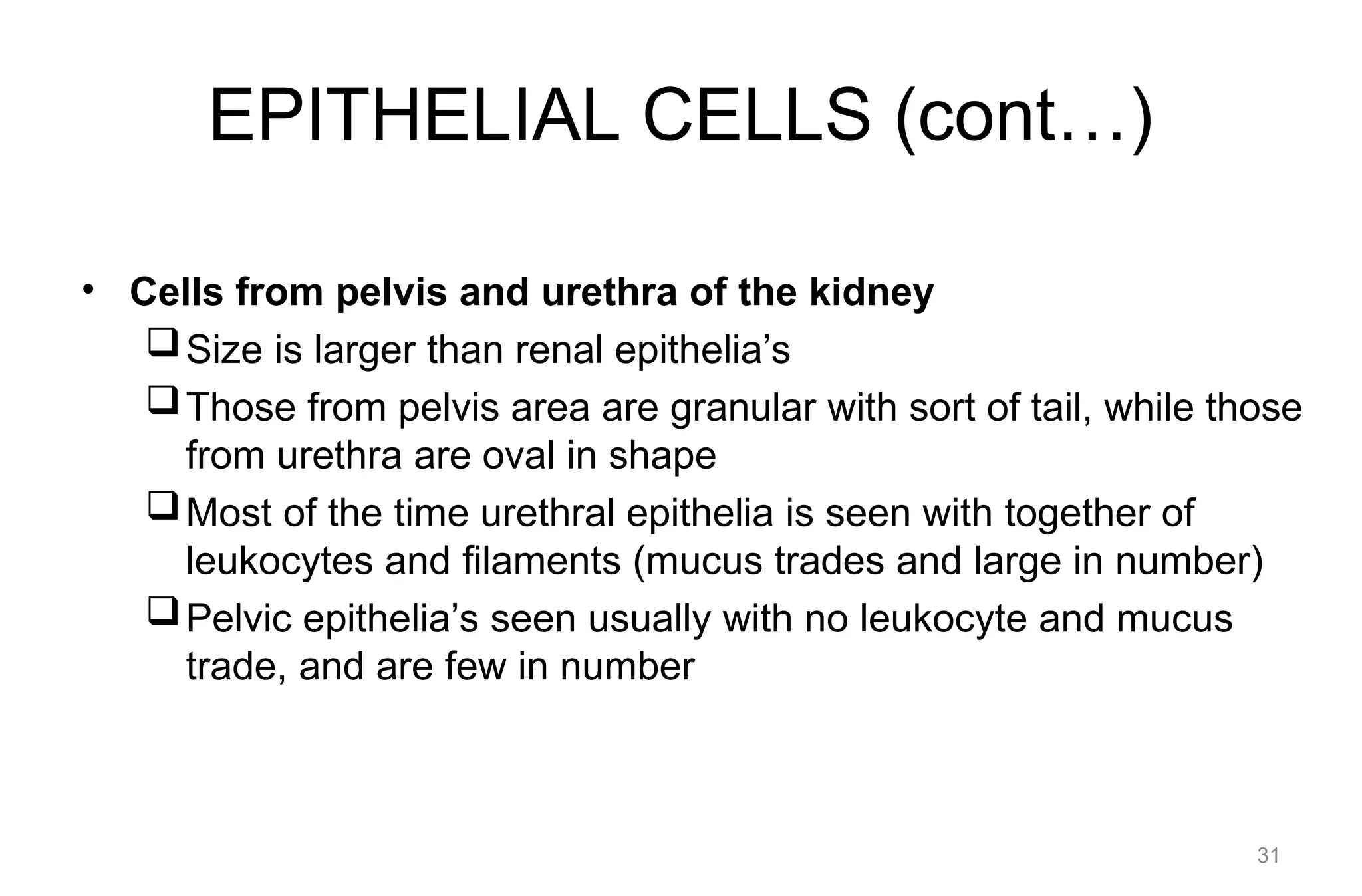 EPITHELIAL CELLS (cont…)
• Cells from pelvis and urethra of the kidney
Size is larger than renal epithelia’s
Those from pelvis area are granular with sort of tail, while those
from urethra are oval in shape
Most of the time urethral epithelia is seen with together of
leukocytes and filaments (mucus trades and large in number)
Pelvic epithelia’s seen usually with no leukocyte and mucus
trade, and are few in number
31
 