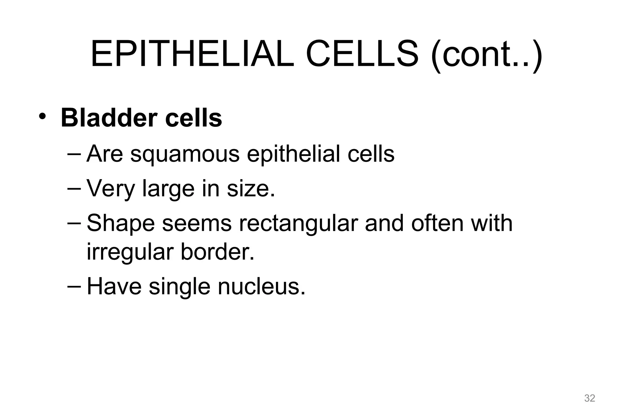 EPITHELIAL CELLS (cont..)
• Bladder cells
– Are squamous epithelial cells
– Very large in size.
– Shape seems rectangular and often with
irregular border.
– Have single nucleus.
32
 