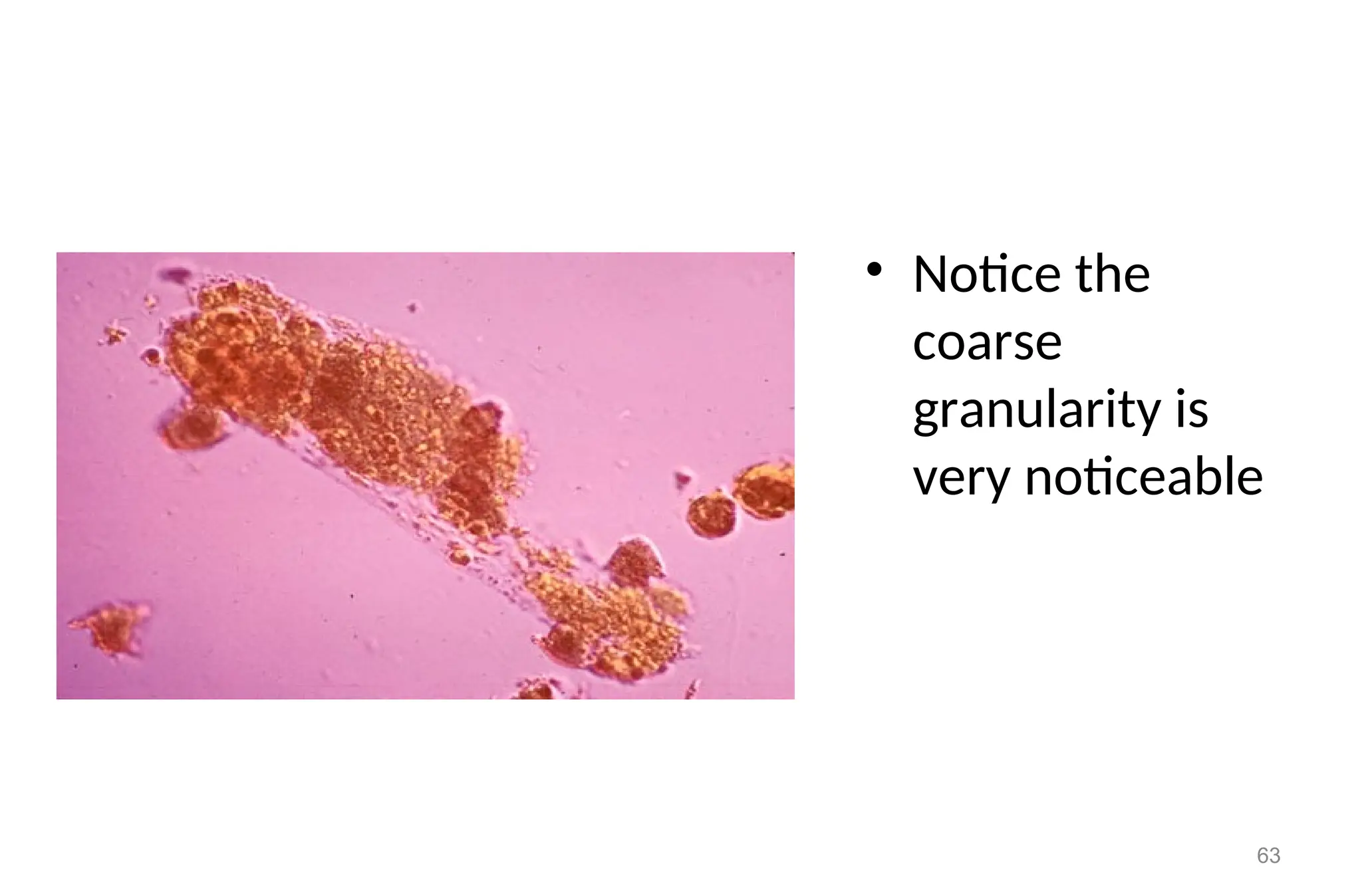 • Notice the
coarse
granularity is
very noticeable
63
 