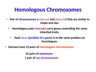 Homologous Chromosomes
• Pair of chromosomes (maternal and paternal) that are similar in
shape and size.
• Homologous pairs (tetrads) carry genes controlling the same
inherited traits.
• Each locus (position of a gene) is in the same position on
homologues.
• Humans have 23 pairs of homologous chromosomes.
22 pairs of autosomes
1 pair of sex chromosomes
 