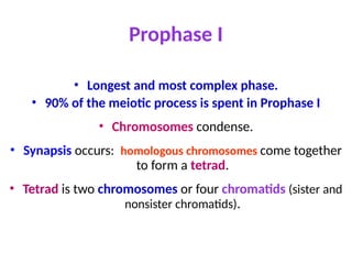 Prophase I
• Longest and most complex phase.
• 90% of the meiotic process is spent in Prophase I
• Chromosomes condense.
• Synapsis occurs: homologous chromosomes come together
to form a tetrad.
• Tetrad is two chromosomes or four chromatids (sister and
nonsister chromatids).
 