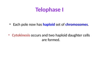 Telophase I
• Each pole now has haploid set of chromosomes.
• Cytokinesis occurs and two haploid daughter cells
are formed.
 