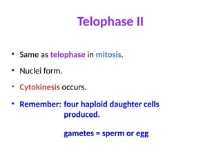 Telophase II
• Same as telophase in mitosis.
• Nuclei form.
• Cytokinesis occurs.
• Remember: four haploid daughter cells
produced.
gametes = sperm or egg
 