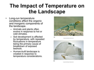 The Impact of Temperature on the Landscape Long-run temperature conditions affect the organic and inorganic components of the landscape. Animals and plants often evolve in response to hot or cold climates. Soil development is affected by temperature, with repeated fluctuations in temperature being the primary cause of breakdown of exposed bedrock. Human-built landscape is created in response to temperature considerations. 