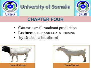 CHAPTER FOUR
• Course : small ruminant production
• Lecture: SHEEP AND GOATS HOUSING
• by Dr abdirashid ahmed
 