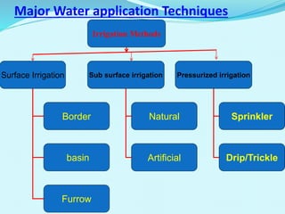 Major Water application Techniques
Irrigation Methods
Surface Irrigation Sub surface irrigation Pressurized irrigation
Border
basin
Furrow
Natural
Artificial
Sprinkler
Drip/Trickle
 