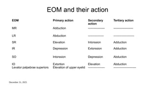 December 31, 2025
EOM and their action
EOM Primary action Secondary
action
Tertiary action
MR Adduction ----------------- --------------------
LR Abduction ---------------- ---------------------
SR Elevation Intorssion Adduction
IR Depression Extorssion Adduction
SO Intorssion Depression Abduction
IO
Levator palpebrae superiors
Extortion
Elevation of upper eyelid
Elevation
-----------------
Abduction
-----------------------
 