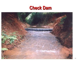 Check Dam
Check Dam
09/20/24 66
 