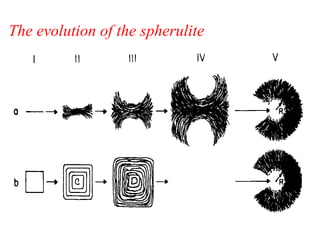 The evolution of the spherulite
 