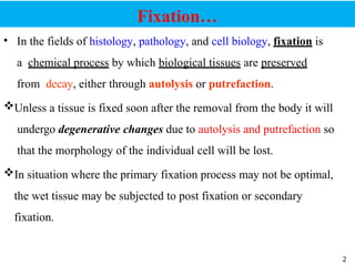 Chapter four histopathology.pptx