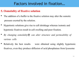 Chapter four histopathology.pptx
