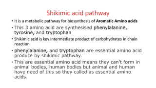 Shikimic acid pathway
• It is a metabolic pathway for biosynthesis of Aromatic Amino acids
• This 3 amino acid are synthesised phenylalanine,
tyrosine, and tryptophan
• Shikimic acid is key intermediate product of carbohydrates In chain
reaction
• phenylalanine, and tryptophan are essential amino acid
produce by shikimic pathway.
• This are essential amino acid means they can’t form in
animal bodies, human bodies but animal and human
have need of this so they called as essential amino
acids.
 