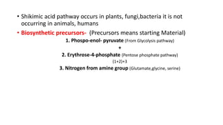 • Shikimic acid pathway occurs in plants, fungi,bacteria it is not
occurring in animals, humans
• Biosynthetic precursors- (Precursors means starting Material)
1. Phospo-enol- pyruvate (From Glycolysis pathway)
+
2. Erythrose-4-phosphate (Pentose phosphate pathway)
(1+2)+3
3. Nitrogen from amine group (Glutamate,glycine, serine)
 