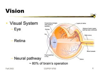 Fall 2002 CS/PSY 6750 6
Vision
• Visual System
− Eye
− Retina
− Neural pathway
~ 80% of brain’s operation
 