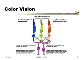 Fall 2002 CS/PSY 6750 9
Color Vision
 