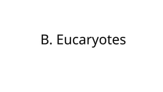 B. Eucaryotes
 
