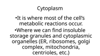 Cytoplasm
•It is where most of the cell’s
metabolic reactions occur.
•Where we can find insoluble
storage granules and cytoplasmic
organelles (ER, ribosomes, golgi
complex, mitochondria,
centrioles, etc.)
 